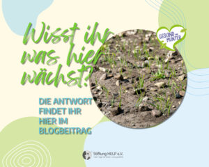 Die Felder sind bestellt